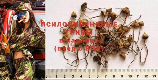 герыч Снежинск