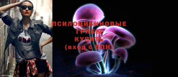 гидропоника Сосновоборск