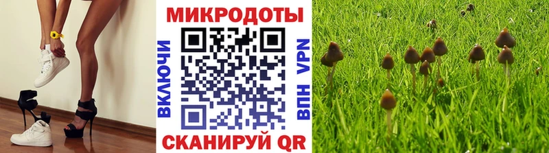 Купить закладки  Луховицы  Галлюциногенные грибы Psilocybine cubensis 